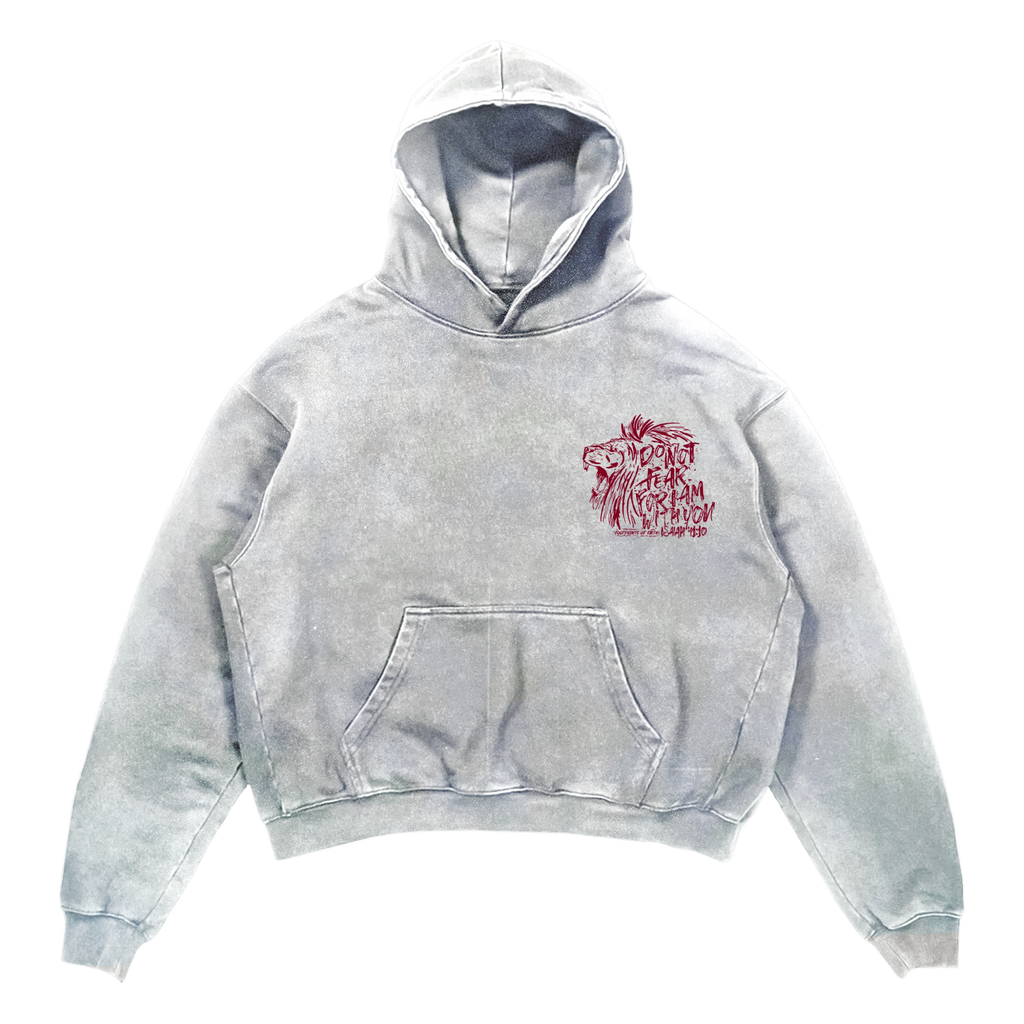 ISAIAH 41:10 PULLOVER HOODIE