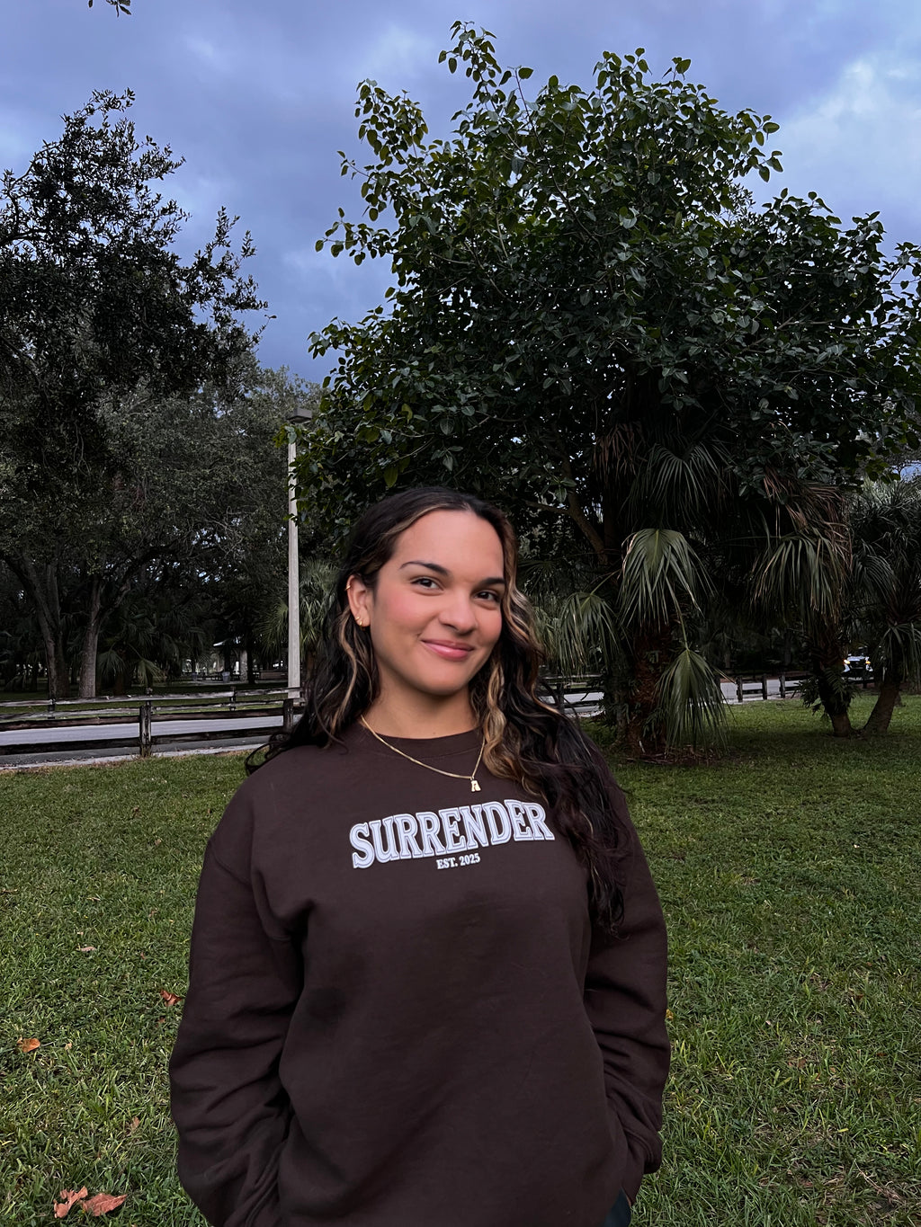 SURRENDER CREWNECK - COFFEE